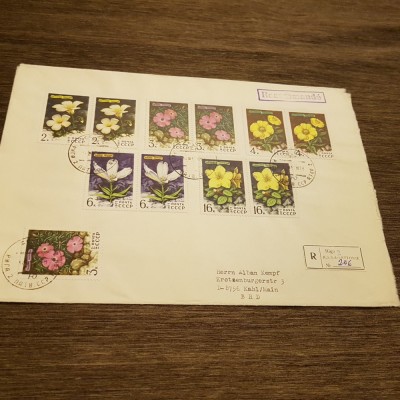 Plic filatelic URSS 1977 Flori sălbatice - (Plic format mare) foto