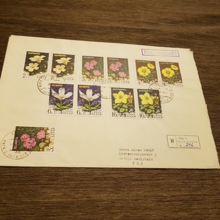 Plic filatelic URSS 1977 Flori sălbatice - (Plic format mare)