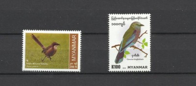 MYANMAR 2019-2022 FAUNA PASARI foto