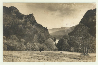 cp Romania Valea Oltului la Turnu - 2 august 1930 foto