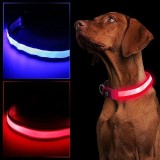 Zgarda luminoasa LED pentru caini, marime S, 3 moduri iluminare - Rosu, ProCart