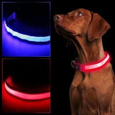 Zgarda luminoasa LED pentru caini, marime S, 3 moduri iluminare - Rosu