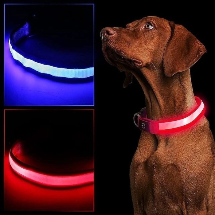Zgarda luminoasa LED pentru caini, marime S, 3 moduri iluminare - Albastru