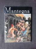 MANTEGNA - ALEXANDRU BALACI
