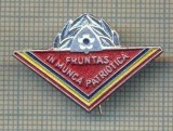 Y 828 INSIGNA -PIONIERI -,,FRUNTAS IN MUNCA PATRIOTICA&quot; - PENTRU COLECTIONARI