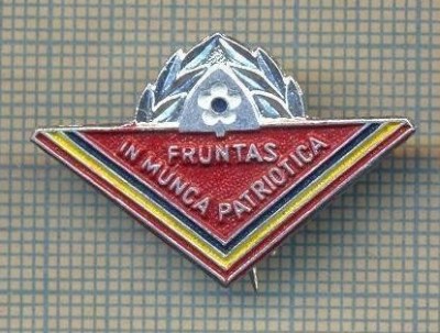 Y 828 INSIGNA -PIONIERI -,,FRUNTAS IN MUNCA PATRIOTICA&amp;quot; - PENTRU COLECTIONARI foto