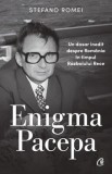 Cumpara ieftin Enigma Pacepa. Un dosar inedit despre Romania in timpul Razboiului Rece/Stefano Romei