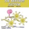 The Nervous System