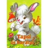Tapsi &eacute;s bar&aacute;tai - Radv&aacute;ny Zsuzsa