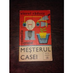 MESTERUL CASEI - VIOREL RADUCU