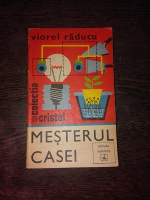 MESTERUL CASEI - VIOREL RADUCU foto