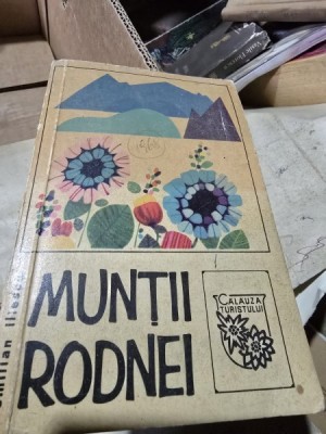 Emilian Iliescu - Muntii Rodnei foto
