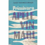 Tudor Teodorescu-Braniste - Primavara apele vin mari - 131617