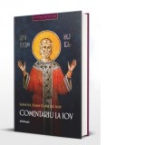 Comentariu la Iov (editia a doua, revizuita) - Sfantul Ioan Gura de Aur, Monahia Parascheva Enache