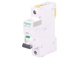 &Icirc;ntrerupător de Supracurent 13A 1P 230V C
