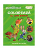 Colorează cu Judy si Nick - Paperback brosat - Litera