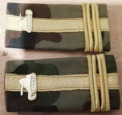 C3 - Grade militare - mozaic padure - locotenent colonel tancuri foto