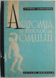 Anatomia si fiziologia omului &ndash; I.C. Petricu