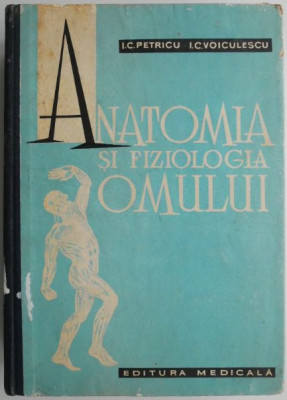 Anatomia si fiziologia omului &amp;ndash; I.C. Petricu foto