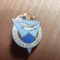 Insigne (3) Industrie Uniunia columbofil