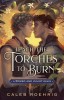 Teach the Torches to Burn: A Romeo &amp; Juliet Remix