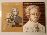 Wilhelm Georg Berger - Clasicismul de la Bach la Beethoven + Mozart: cultură și stil