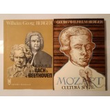 Wilhelm Georg Berger - Clasicismul de la Bach la Beethoven + Mozart: cultură și stil