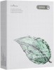 Pachet 10 masti servetel cu extract de pelin, mugwort, isntree, 23g, Uscat