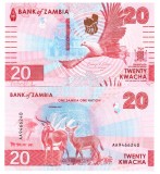 Zambia 20 Kwacha 2024 P-62 UNC