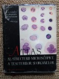V. G. Eliseev - Atlas al structurii microscopice a tesuturilor si organelor