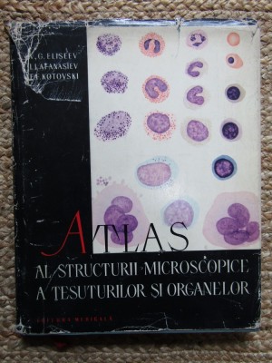 V. G. Eliseev - Atlas al structurii microscopice a tesuturilor si organelor foto