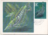 Bnk cp URSS - Fauna - maxima necirculata 1978, Europa