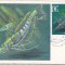bnk cp URSS - Fauna - maxima necirculata 1978