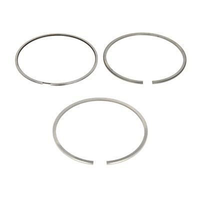Mahle Set segmenti piston foto