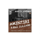 Amintiri fără culoare - Paperback brosat - Martin Vopěnka - Vremea