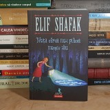 ELIF SHAFAK - FETITA CAREIA NU-I PLACEA NUMELE SAU , POLIROM , 2016 *
