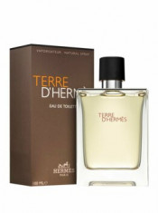 Apa de toaleta Hermes Terre D&amp;#039;Hermes, 100 ml, pentru barbati foto