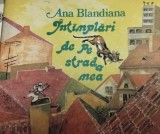 INTAMPLARI DE PE STRADA MEA ANA BLANDIANA 1988