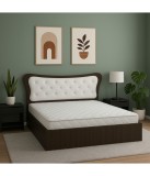 Pat Dante Wenge+ Saltea 160x200cm