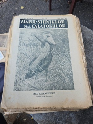 Ziarul Ştiinţelor şi al Călătoriilor nr.22/1932- Rex Balenicepsus foto