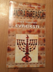 Mandria Evreiasca, 101 Traditii Evreiesti, Michael SHAPIRO, Ed ANTET 1998 Oradea foto