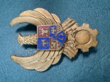 Insigna Tehnic aviatie militara dupa 2000 varianta aurie