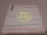 Disc vinil populara Ana Pacatius