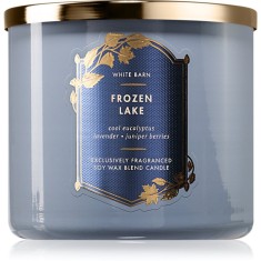 Bath &amp; Body Works Frozen Lake lum&acirc;nare parfumată 411 g