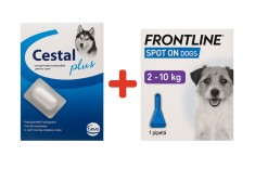 Antiparazitar Intern + Extern caini, Frontline Spot On Dog 2-10kg 1 pipeta + Cestal Dog 1 tableta