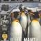 C10301 - REVISTA PHOTO - ROGER MANTU, DECEMBRIE 2009 - IANUARIE 2010