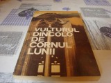 Rodica Ojog Brasoveanu - Vulturul dincolo de cornul lunii - 1988