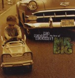 Mr. Big Big, Bigger, Biggest The Best Of (cd)