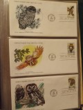 FAUNA WWF - 3 PLICURI PRIMA ZI
