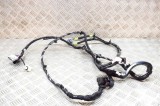 Cablaj ușă dreapta spate TESLA MODEL X 2018 OEM: 1032882-00-G 18057731